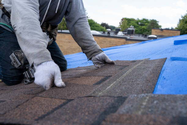 Best Roof Replacement Cost  in Mountain City, GA